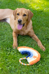 Rainbow Rope Plush Dog Toy By House Of Paws