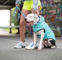 Reversible Dog Raincoat Neon Aqua & Iridescent By GF Pet