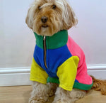 Brights Gatsby Dog Fleece By The Distinguished Dog Company