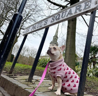 Love Heart Pooch Knitted Sweater By Love From Betty