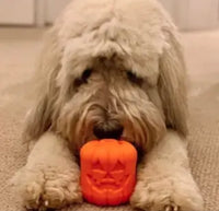 Pumpkin Jack o Lantern Treat Dispenser Chew Toy By SodaPup