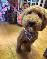 Dinosaur Land Step In Dog Harness By Fuzzyard