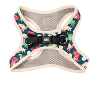 Dinosaur Land Step In Dog Harness By Fuzzyard