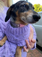 Bella Paws Lilac Cable Jumper By Cara & The Sky X Love From Betty