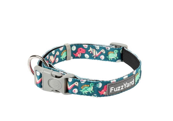 Dinosaur Land Dog Collar By Fuzzyard