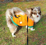 Halloween Pumpkin Dog T-Shirt By The Luna Co