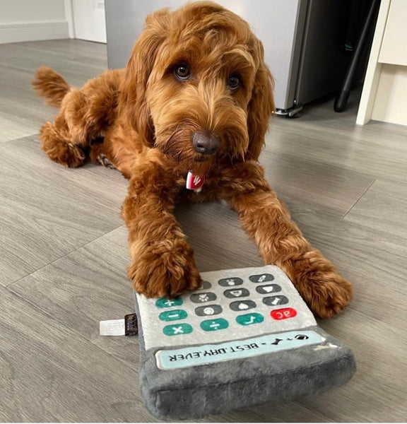 Doggie Digits Calculator Dog Toy by P.L.A.Y