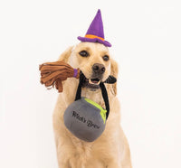 Halloween Witch Costume & Toy Kit By Zippy Paws