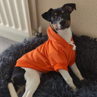 Bright Orange Cosy Dog Hoodie