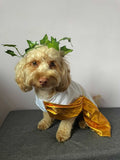 Toga Dog Costume By Midlee