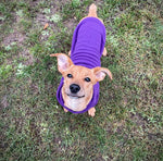 Royal Purple Cosy Dog Hoodie