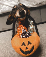 Howl-o-ween Trick Or Treat Basket Dog Toy By P.L.A.Y