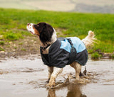Waterproof Dog Coat By Henry Wag