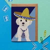 Bichon Frise Dog Greeting Card By Lorna Syson