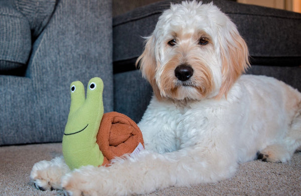 DIY Slinky Dog Snuffle Toy