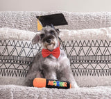 Marker Pen Dog Toy By Hugsmart