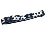 Dixie Dalmatian Dog Collar By The Spotty Hound