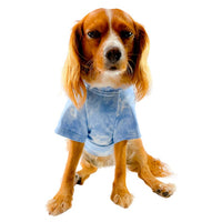 Blue Tie Dye Dog T-Shirt By The Luna Co