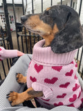 Love Heart Pooch Knitted Sweater By Love From Betty