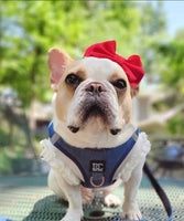 Midwash Denim Blue Step In Harness By Dogistry