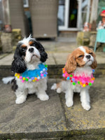 Pink Celebration Pom Pom Collar By Midlee