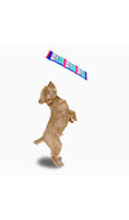 Super Firehose Gummy Bears Dog Toy By Hugsmart