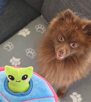 Space Paws Aliens Hide & Seek Dog Toy By Hugsmart