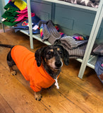 Bright Orange Cosy Dog Hoodie