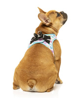 Candy Hearts Step In Dog Harness By Fuzzyard