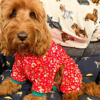 Festive Gingerbread Snowstorm Dog Pyjamas By FuzzYard