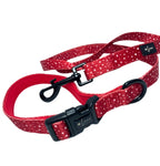 Dotty For You Red Dog Lead By The Luna Co