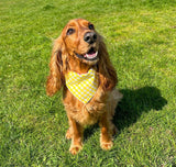 Gingham Dream Bandana Handmade By Urban Tails