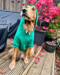 Forest Green Cosy Dog Hoodie