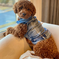 Distressed Denim Dog Vest By Doodle Couture