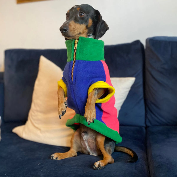 Brights Gatsby Sausage Dog Fleece By The Distinguished Dog Company Love From Betty