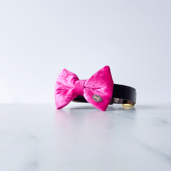 Pink Pop Velvet Bow Tie By The Distinguished Dog Company