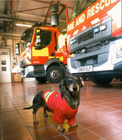 Firebarker Dog T-Shirt By Parisian Pet