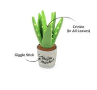 Blooming Buddies Aloe-ve You Dog Toy By P.L.A.Y