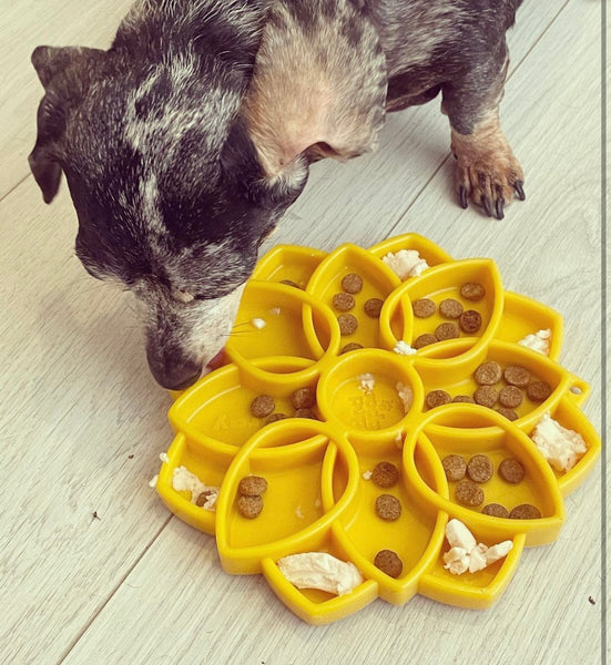 Yellow Mandala Design eTray Enrichment Tray for Dogs By Soda Pup