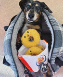 Fast Food Onion Rings Hide & Seek Dog Toy By Hugsmart