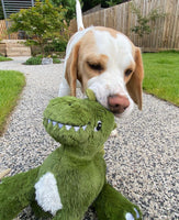 Big Paws Squeaker Dino Dog Toy By House of Paws