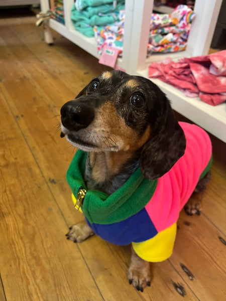 Brights Gatsby Sausage Dog Fleece By The Distinguished Dog Company
