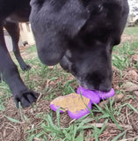 Butterfly Chew Toy By Soda Pup