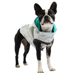 Reversible Dog Raincoat Neon Aqua & Iridescent By GF Pet