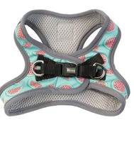 Summer Punch Watermelon Step In Dog Harness By Fuzzyard