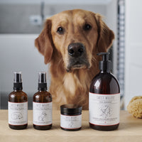 Cooper’s Apothecary Collection Organic Dog Paw & Nose Balm By Sweet William