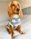 Star Struck Pooch Knitted Sweater By Love From Betty