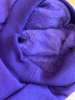 Royal Purple Cosy Dog Hoodie