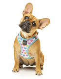 Candy Hearts Step In Dog Harness By Fuzzyard
