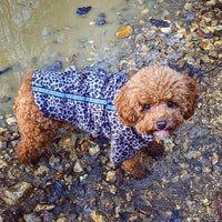 Rainstorm Brown Leopard Animal Print Dog Jacket By Urban Pup Love From Betty